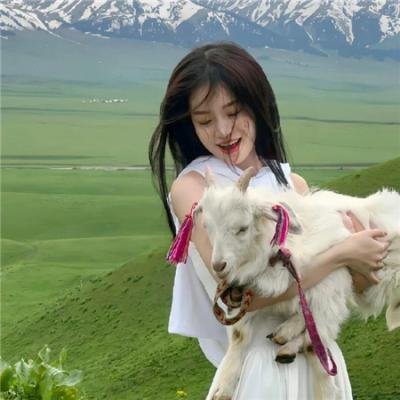 独家新闻的雏鸟