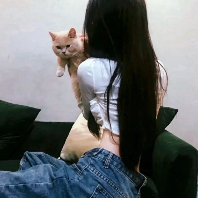 仙女教母